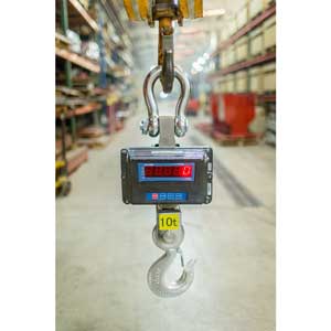 Digital Weighing Crane Scales for Sale